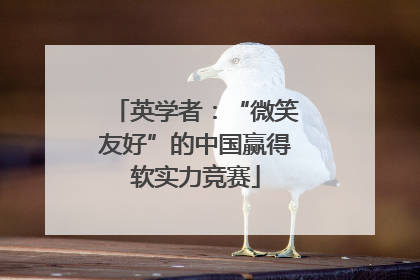 英学者：“微笑友好”的中国赢得软实力竞赛