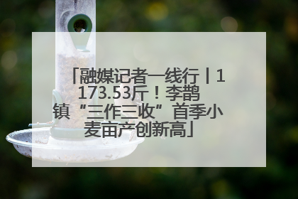 融媒记者一线行丨1173.53斤！李鹊镇“三作三收”首季小麦亩产创新高