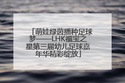 萌娃绿茵播种足球梦——LHK福宝之星第三届幼儿足球嘉年华精彩绽放
