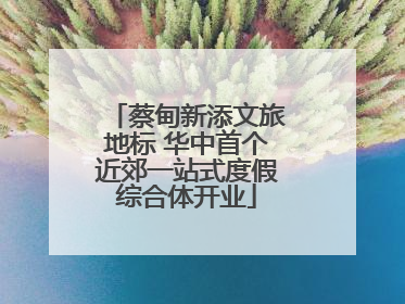 蔡甸新添文旅地标 华中首个近郊一站式度假综合体开业