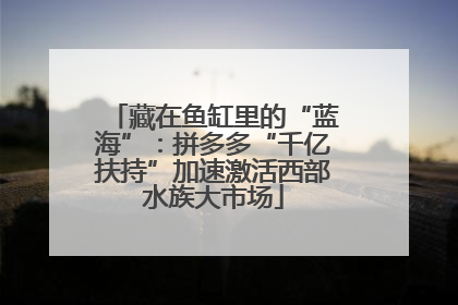 藏在鱼缸里的“蓝海”：拼多多“千亿扶持”加速激活西部水族大市场