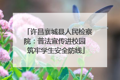 许昌襄城县人民检察院：普法宣传进校园 筑牢学生安全防线