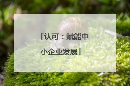认可：赋能中小企业发展