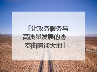 让政务服务与高质量发展的协奏曲响彻大地