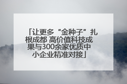 让更多“金种子”扎根成都 高价值科技成果与300余家优质中小企业精准对接
