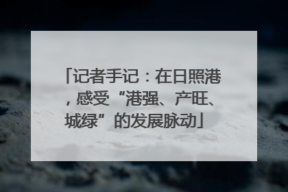 记者手记：在日照港，感受“港强、产旺、城绿”的发展脉动