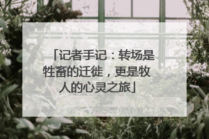 记者手记：转场是牲畜的迁徙，更是牧人的心灵之旅
