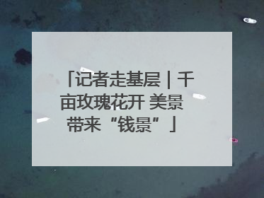 记者走基层｜千亩玫瑰花开 美景带来“钱景”