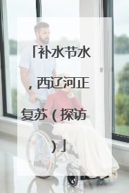 补水节水，西辽河正复苏（探访）