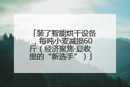 装了智能烘干设备，每吨小麦减损60斤（经济聚焦·夏收里的“新选手”）