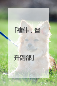 褚伟，晋升副部