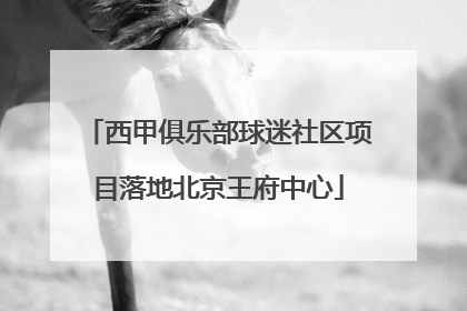 西甲俱乐部球迷社区项目落地北京王府中心