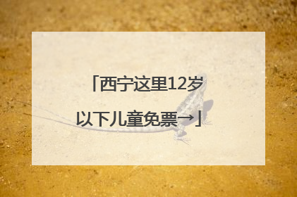 西宁这里12岁以下儿童免票→