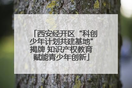 西安经开区“科创少年计划共建基地”揭牌 知识产权教育赋能青少年创新