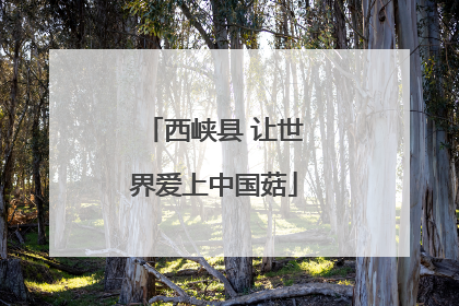西峡县 让世界爱上中国菇