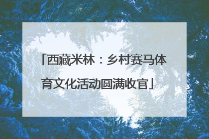 西藏米林：乡村赛马体育文化活动圆满收官