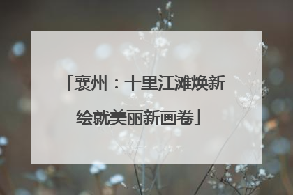 襄州：十里江滩焕新 绘就美丽新画卷