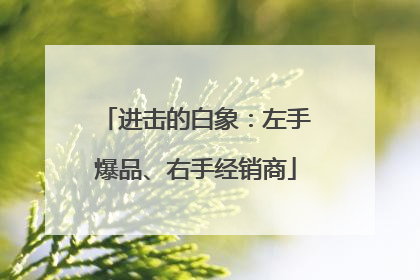 进击的白象：左手爆品、右手经销商