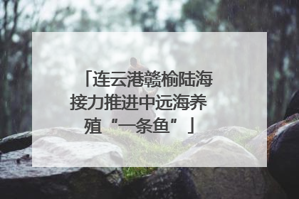 连云港赣榆陆海接力推进中远海养殖“一条鱼”