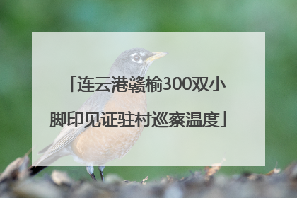 连云港赣榆300双小脚印见证驻村巡察温度