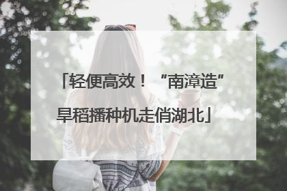 轻便高效！“南漳造”旱稻播种机走俏湖北