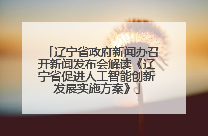 辽宁省政府新闻办召开新闻发布会解读《辽宁省促进人工智能创新发展实施方案》