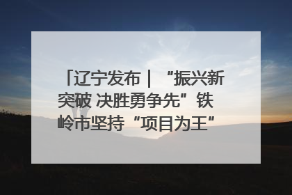 辽宁发布｜“振兴新突破 决胜勇争先”铁岭市坚持“项目为王”推进经济高质量发展