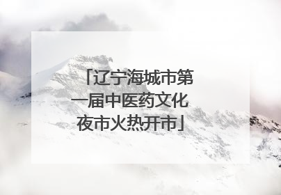 辽宁海城市第一届中医药文化夜市火热开市