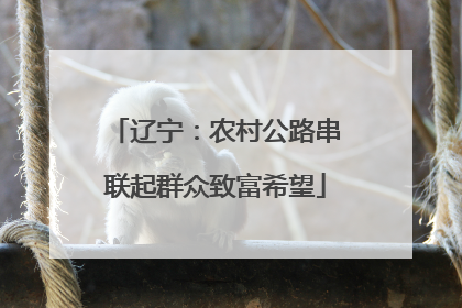 辽宁：农村公路串联起群众致富希望