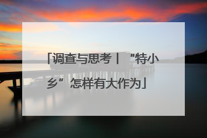 调查与思考丨“特小乡”怎样有大作为
