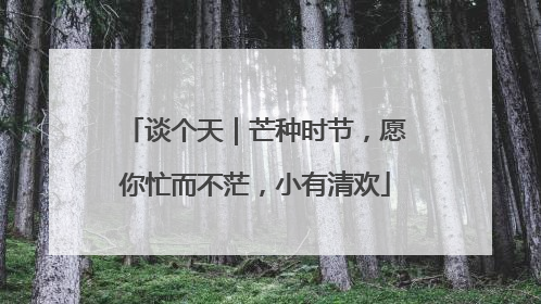 谈个天｜芒种时节，愿你忙而不茫，小有清欢