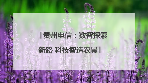 贵州电信：数智探索新路 科技智造农景