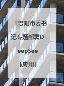 贵阳市委书记专题部署DeepSeek应用