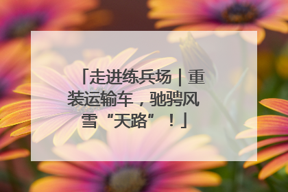 走进练兵场｜重装运输车，驰骋风雪“天路”！