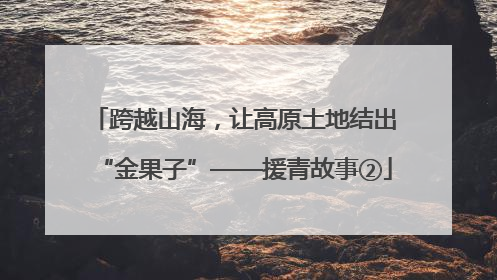 跨越山海，让高原土地结出“金果子”——援青故事②