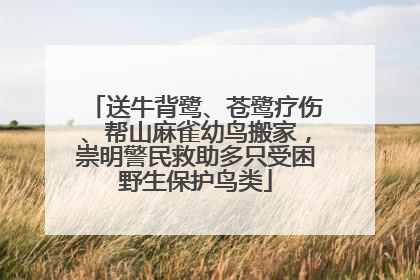 送牛背鹭、苍鹭疗伤、帮山麻雀幼鸟搬家，崇明警民救助多只受困野生保护鸟类