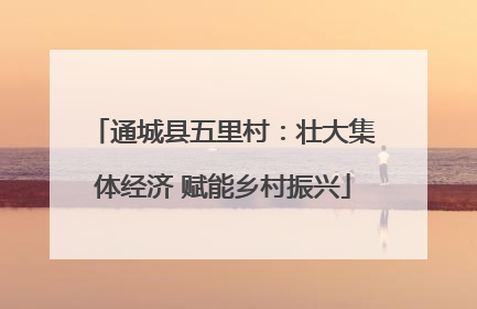 通城县五里村：壮大集体经济 赋能乡村振兴