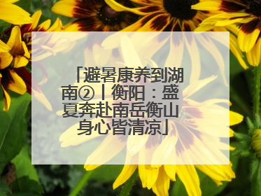 避暑康养到湖南②丨衡阳：盛夏奔赴南岳衡山 身心皆清凉