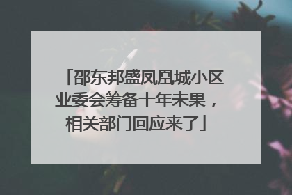 邵东邦盛凤凰城小区业委会筹备十年未果，相关部门回应来了