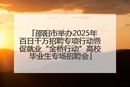 邵阳市举办2025年百日千万招聘专项行动暨促就业“金桥行动”高校毕业生专场招聘会