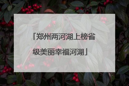 郑州两河湖上榜省级美丽幸福河湖