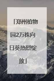 郑州植物园2万株向日葵热烈绽放