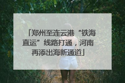 郑州至连云港“铁海直运”线路打通，河南再添出海新通道
