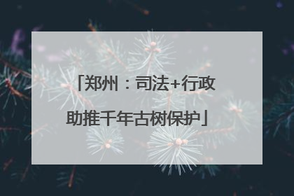 郑州：司法+行政助推千年古树保护
