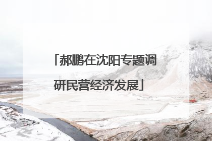 郝鹏在沈阳专题调研民营经济发展