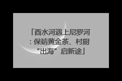 酉水河遇上尼罗河：保靖黄金茶、村厨“出海”启新途