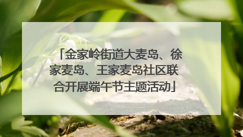 金家岭街道大麦岛、徐家麦岛、王家麦岛社区联合开展端午节主题活动