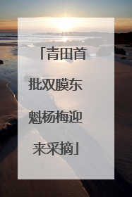 青田首批双膜东魁杨梅迎来采摘