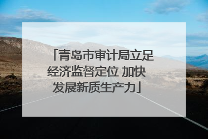 青岛市审计局立足经济监督定位 加快发展新质生产力