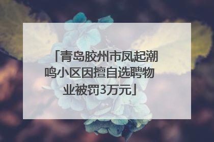 青岛胶州市凤起潮鸣小区因擅自选聘物业被罚3万元